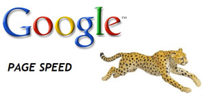   Google - Googles Page Speed Online